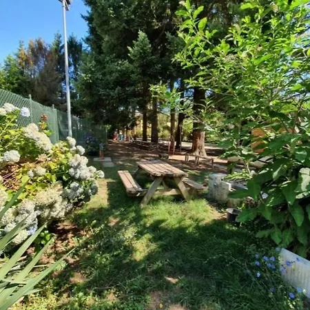 Rose Mary La Casa Nel Bosco 公寓 *